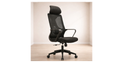 Egronomic Chair